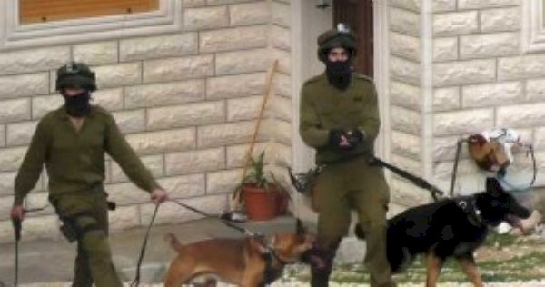 متحدث أممي: استخدام الاحتلال الكلاب ضد المعتقلين الفلسطينيين انتهاك خطير