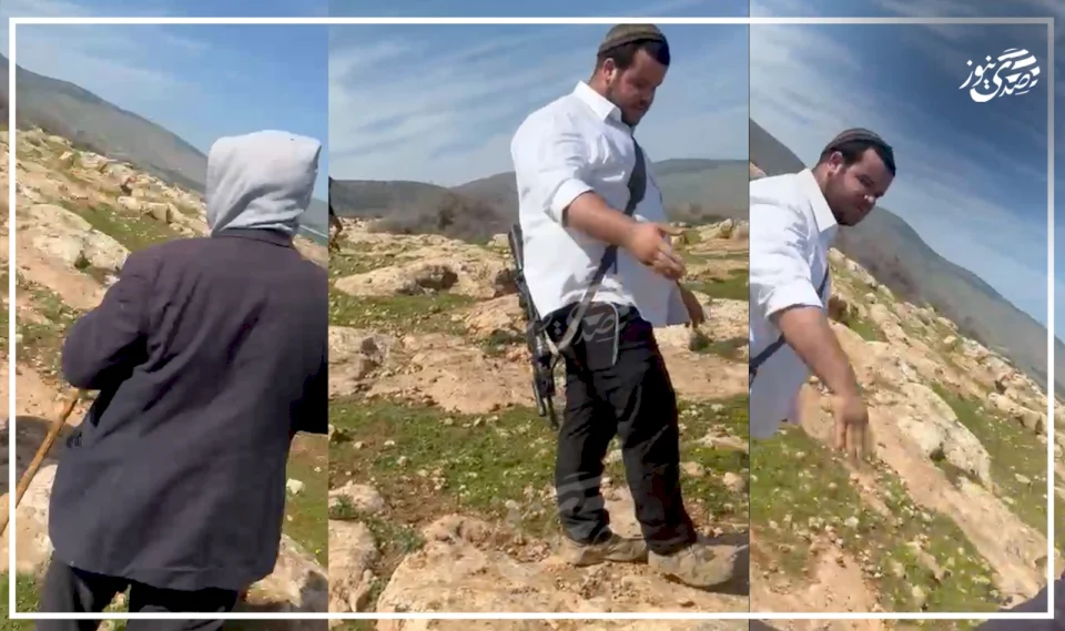 Settler Assaults in Various Areas of the West Bank