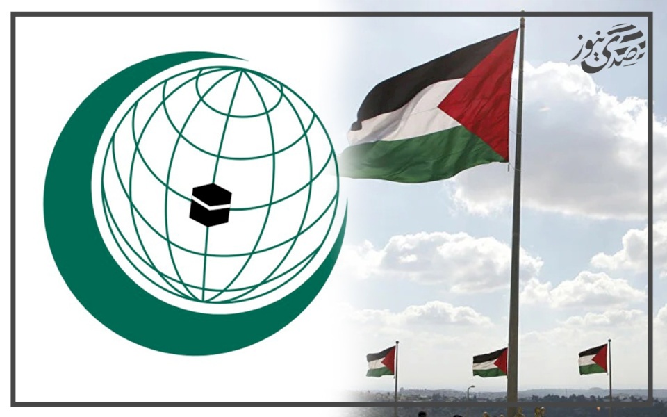 تحركات مستمرة.. "التعاون الإسلامي" تقر دعم تعجيل الاعتراف بدولة فلسطين