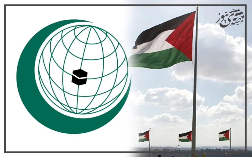 تحركات مستمرة.. "التعاون الإسلامي" تقر دعم تعجيل الاعتراف بدولة فلسطين