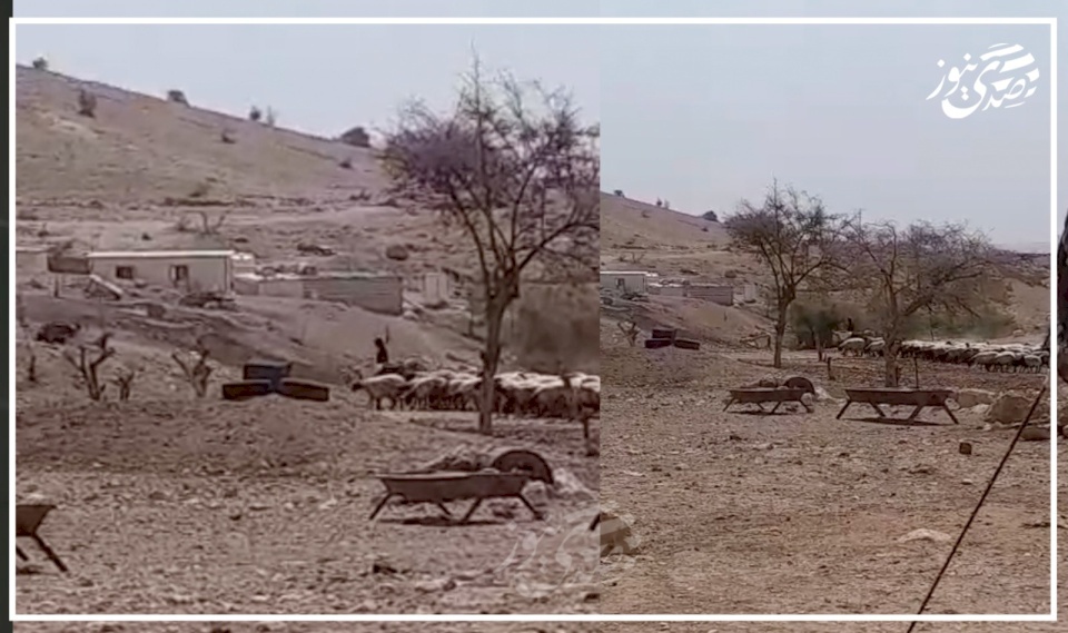 مستوطنون يحاصرون تجمع شلال العوجا في محاولة للسيطرة عليه (فيديو)