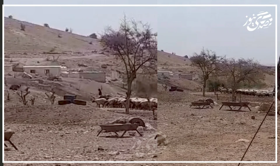 Settlers Storm Al-Auja Waterfall Area North of Jericho and Harass Residents