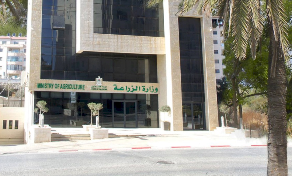 تدخلات وزارة الزراعة وشركائها في عامها الأول لتولي الحكومة