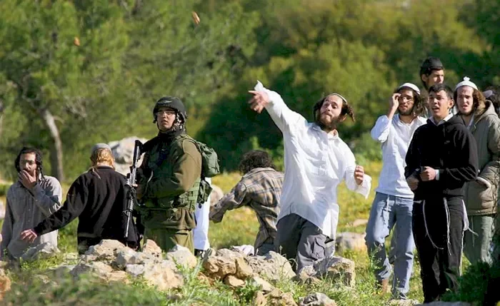 مستوطنون يهاجمون مركبات المواطنين في المعرجات شمال غرب أريحا