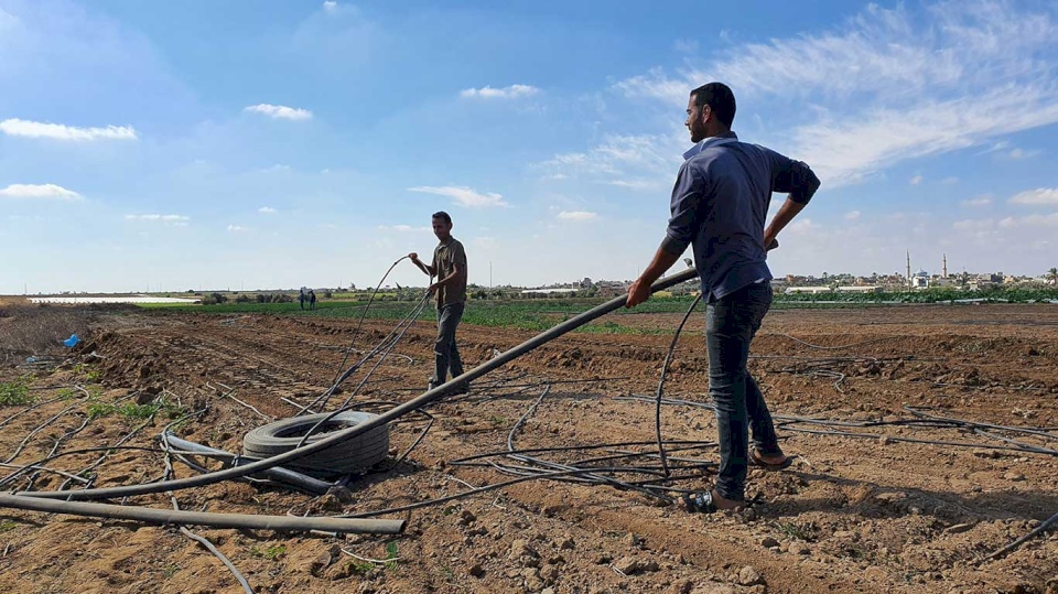 فاو: الحرب الإسرائيلية قضت على الزراعة في غزة