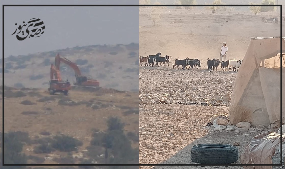 עדכון: תקיפות מתמשכות של המתנחלים בשטחי הגדה המערבית