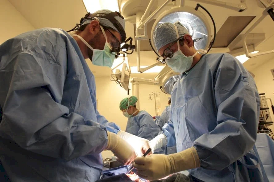 تجاوزات طبية خطيرة: الولايات المتحدة تبدأ إصلاحات واسعة في نظام زراعة الأعضاء