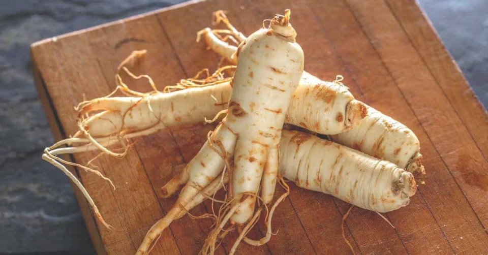 La racine de ginseng, un ingrédient clé dans les soins de la peau asiatiques