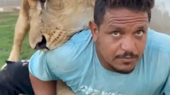 تجميد أموال وممتلكات شخص قام بترويع عامل مصري بأسد