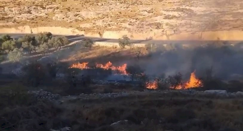 Des colons brûlent des terres agricoles dans le village de Sa'ir au nord-est d'Hébron