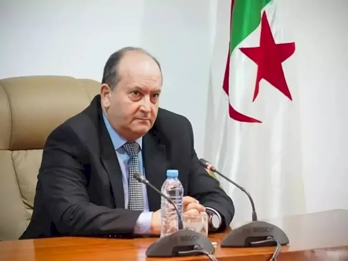 سيفي غريب رئيساً للوزراء.. الحكومة الجزائرية تعلن عن أعضاء الحكومة الجديدة 