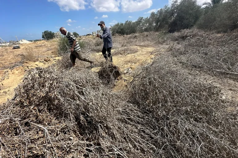 British Writer: The Environmental Genocide of Gaza Means Making It Uninhabitable