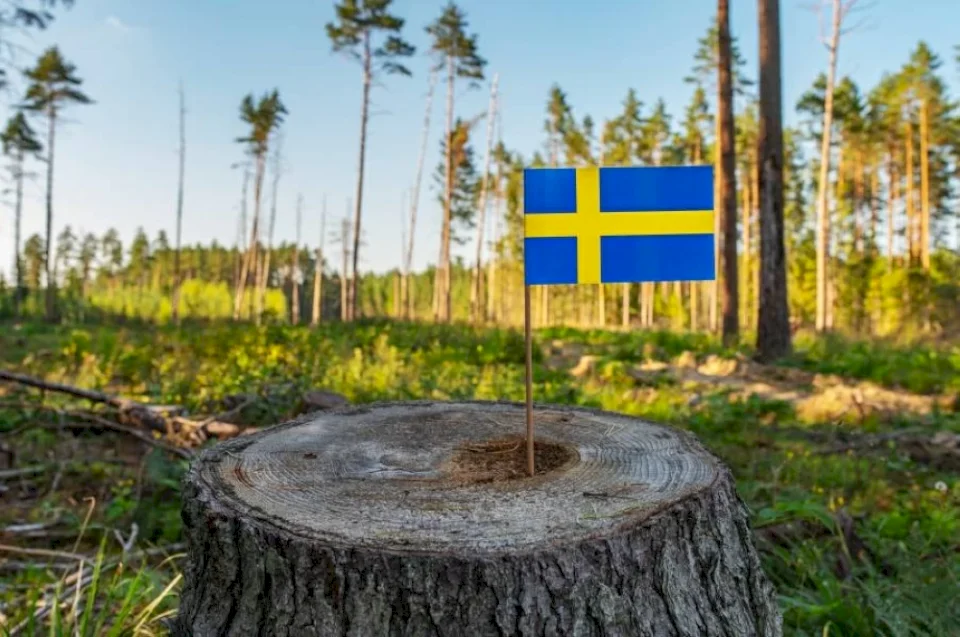 Swedes Stockpiling Food in Anticipation of Possible War Amid Rising European Concerns