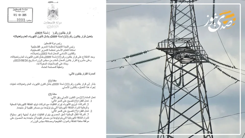 Decision by law regarding the amendment of the electricity law 2025