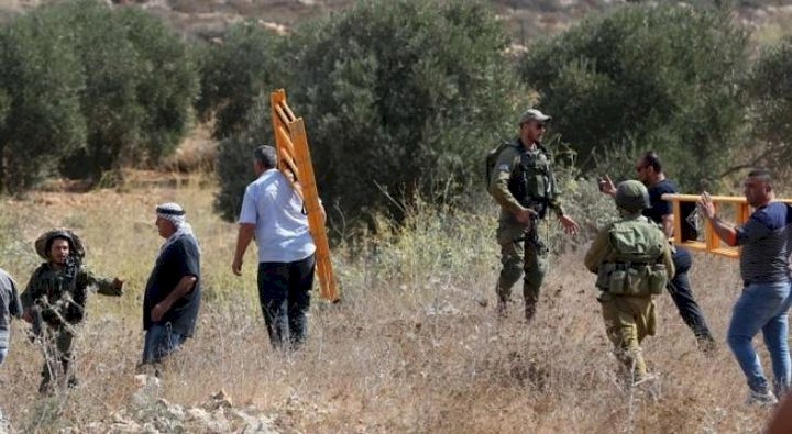 L'occupation empêche les agriculteurs de récolter les olives à l'est de Qalqilya