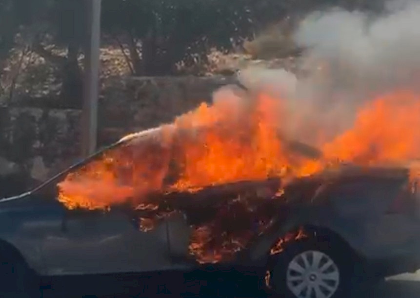 Attacks by Settlers in Various Areas of Ramallah