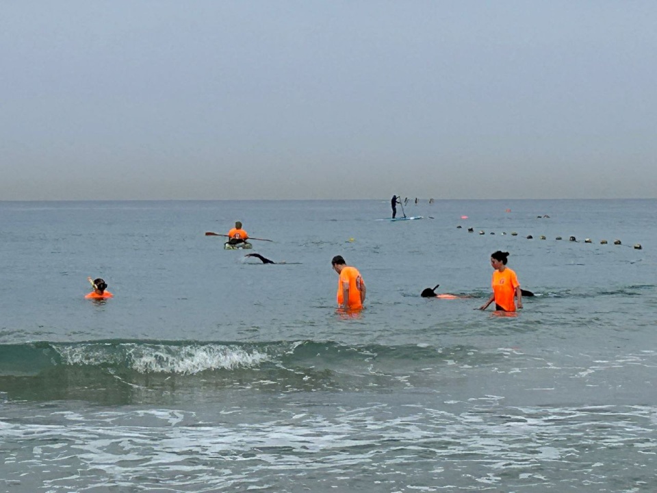 Israel Searches for the "Lost Phone" in the Sea