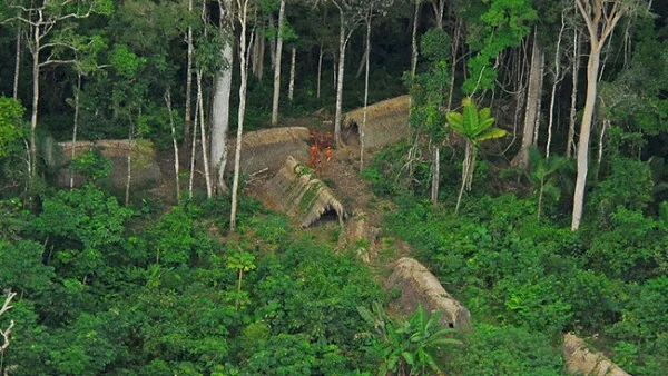 Le Brésil cherche à collecter 10 milliards de dollars pour l'initiative de protection des forêts