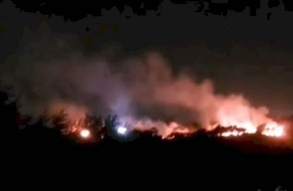 Des colons incendi[ent] des oliviers à Majdal Bani Fadel, au sud de Naplouse