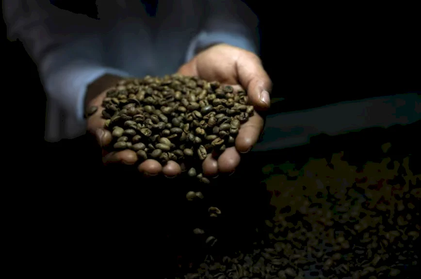 Global Coffee Prices Fall After Trump Cancels Tariffs on Brazil