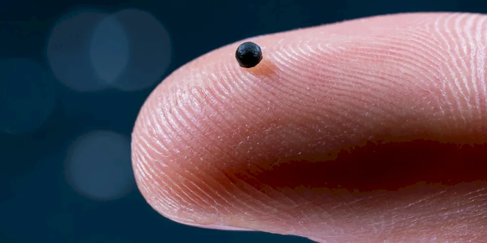 بحجم حبة رمل... روبوت يمكنه دخول مجرى الدم وإيصال الأدوية بدقة