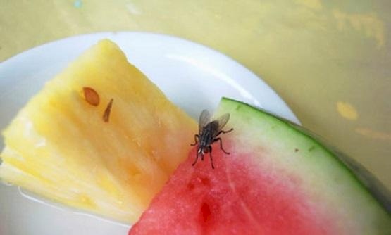 Voici la méthode la plus simple pour chasser les mouches de la cuisine