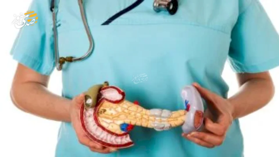 Évitez 3 habitudes courantes qui accélèrent le vieillissement du pancréas