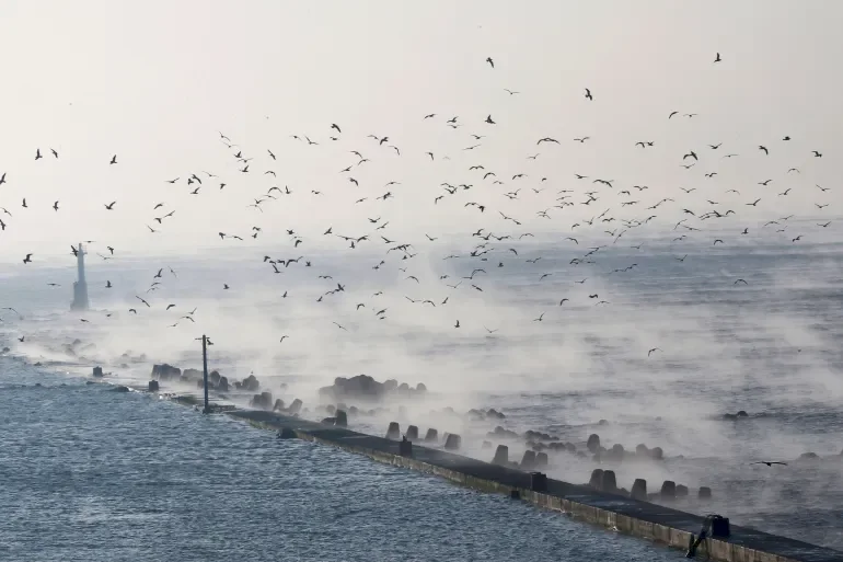 יפן מזהירה מס-tsunami לאחר רעידת אדמה בעוצמה של 7.6