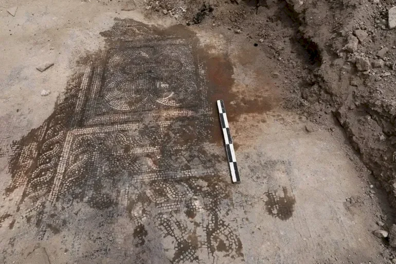 سوريا: اكتشاف لوحة فسيفساء ضخمة شمال غربي دمشق أثناء أعمال زراعية