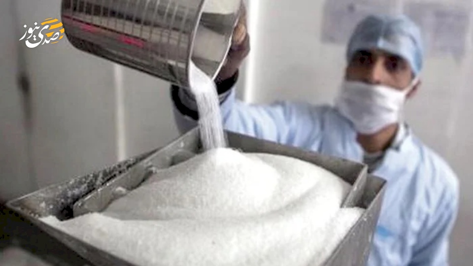 خسائر فادحة رغم طفرة الإنتاج.. لماذا تنزف مصانع السكر في مصر؟