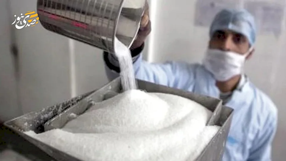 خسائر فادحة رغم طفرة الإنتاج.. لماذا تنزف مصانع السكر في مصر؟