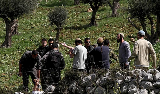 Settlers Plow Lands North of Jericho in Preparation for Seizure