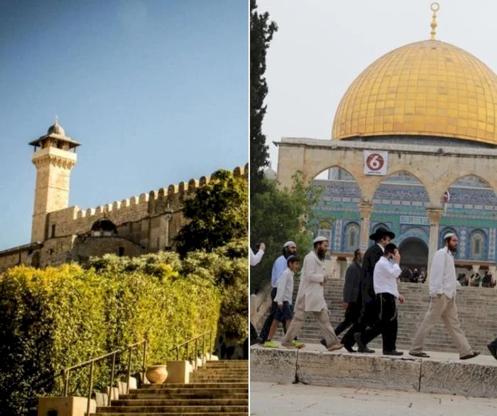 الأوقاف: اقتحام الأقصى 28 مرة ومنع رفع الأذان في الحرم الإبراهيمي 57 وقتا الشهر الماضي