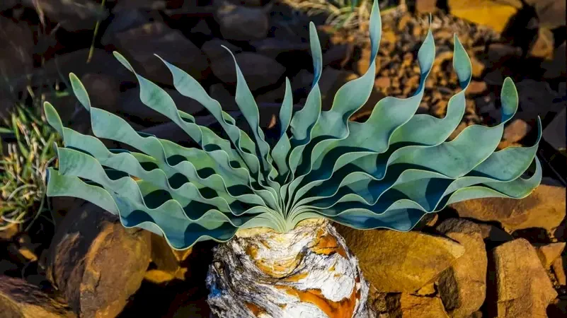 The Discovery of the Oldest Poisoned Arrowheads in History