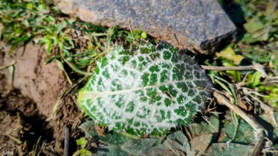 للمرة الثانية.. إسرائيل ترش "مواد مجهولة" جنوبي سوريا