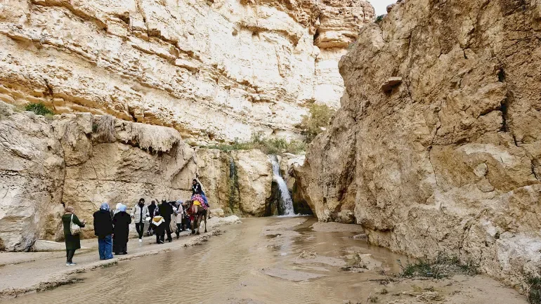 اكتشف الجنوب التونسي.. رحلة مثيرة في الصحراء والنكهات والذاكرة