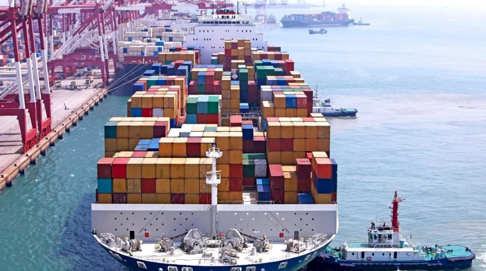 Egypt is considering a 30% reduction in customs duties for the automotive and electrical appliance industries