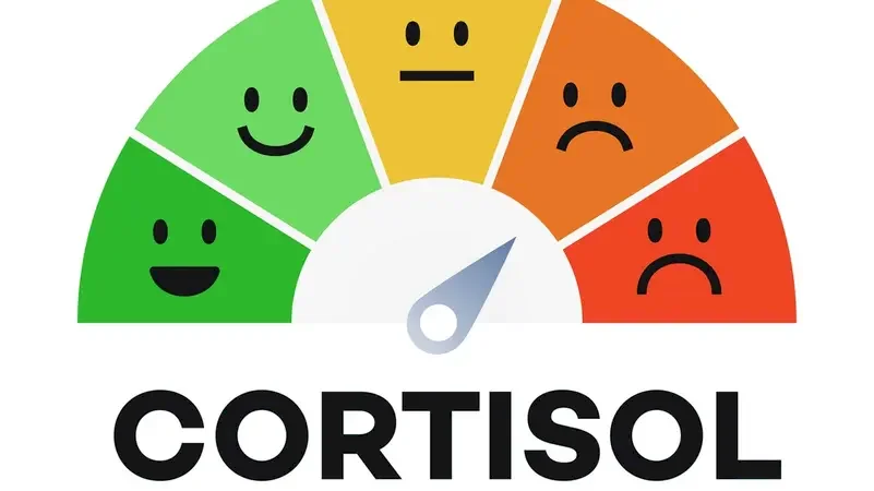 The "Cortisol" Lie Takes Over Social Media.. and Tops the Trends