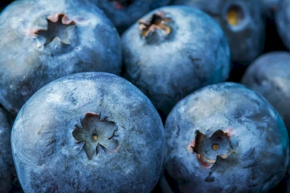 Elle surpasse les bleuets... 11 aliments riches en antioxydants