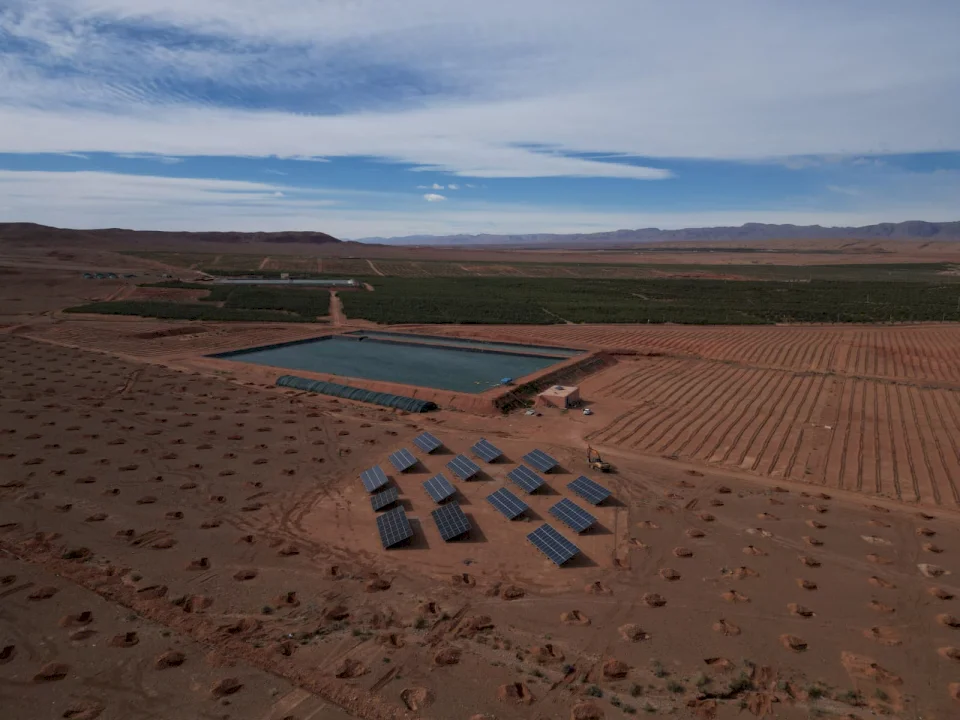 Al-Nabali and Al-Faris Company Announces Launch of New Agricultural Investment Project 'Tala'