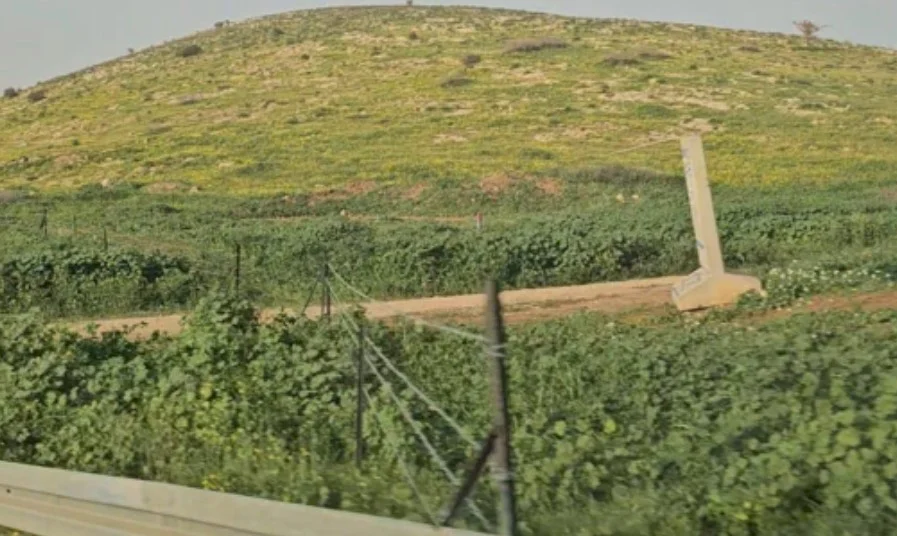 الاحتلال يعتقل مواطنا أثناء رعيه مواشيه في الأغوار الشمالية