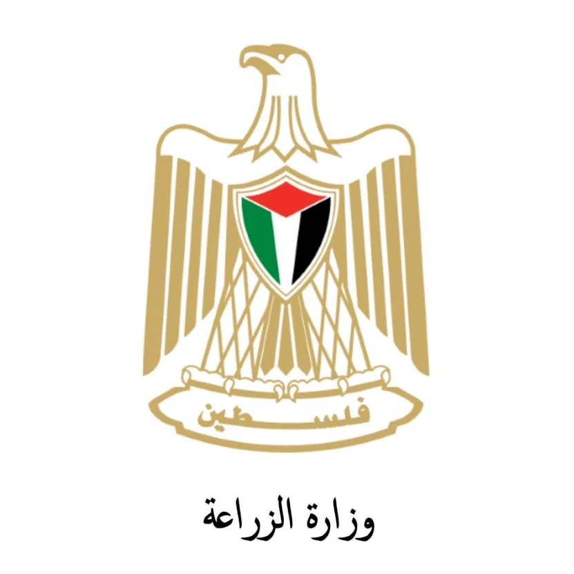 Ministère de l'Agriculture : Nous rejetons les allégations médiatiques israéliennes concernant la contamination des légumes palestiniens exportés