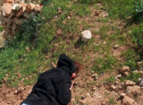 إصابة متضامنين أجنبيين في هجوم للمستعمرين على قصرة جنوب نابلس