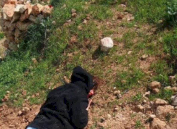 Des manifestants étrangers blessés lors d'une attaque des colons à Qusra, au sud de Nablus