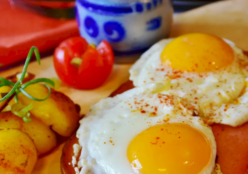 الشوفان مقابل البيض... أيهما أفضل للإفطار من حيث الألياف والبروتين؟