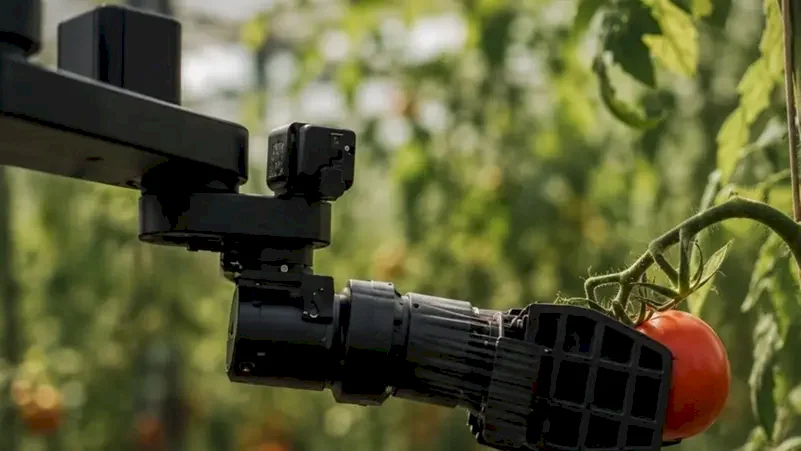 Egrobots, la startup égyptienne, dévoile le premier robot autonome pour la récolte agricole