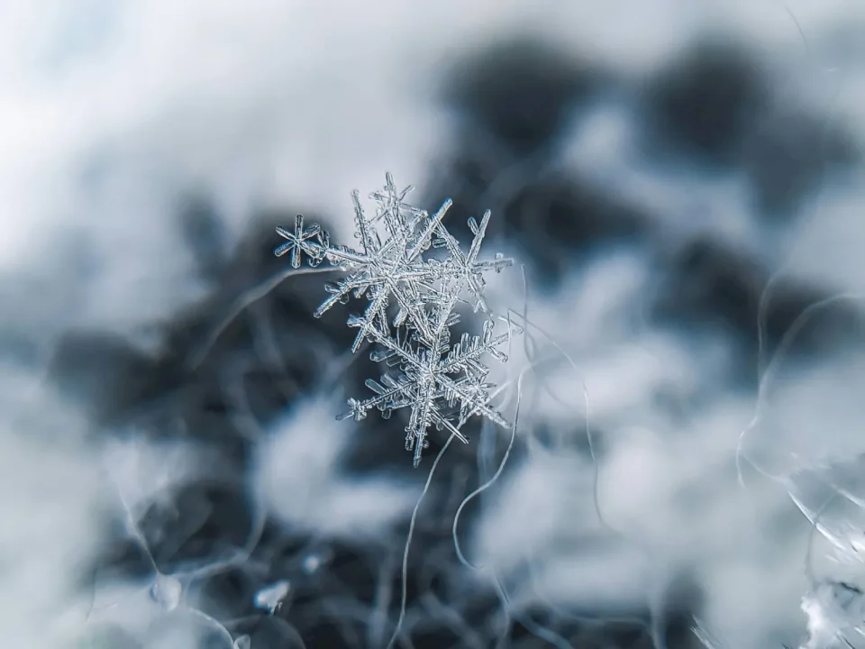 «Devenant plus aigu avec le temps»… Qu'est-ce que la «maladie de flocon de neige» ?