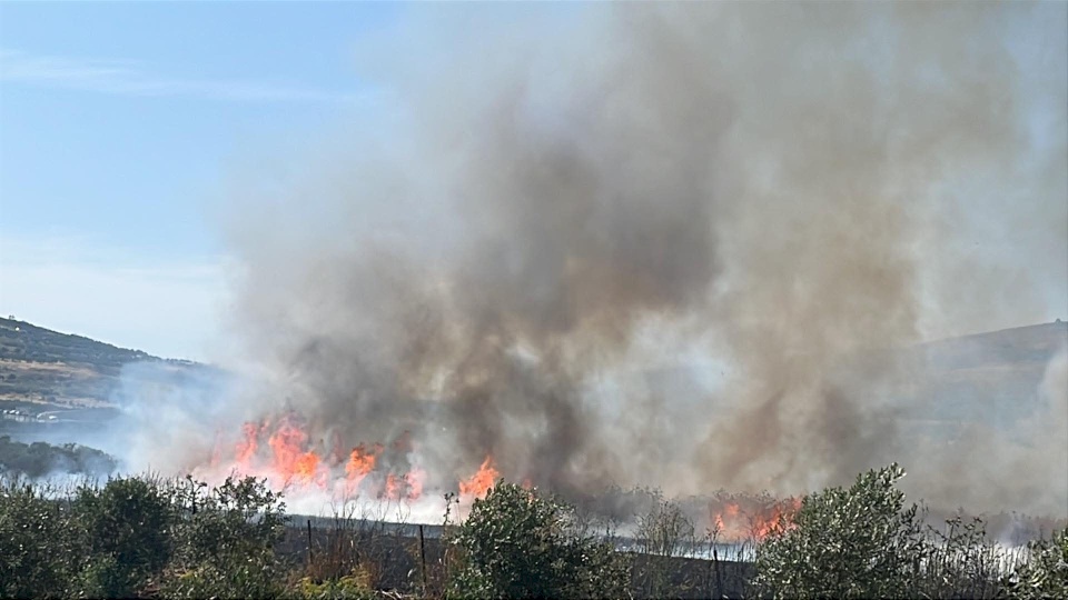 Des colons incendiant des terres agricoles au sud de Naplouse