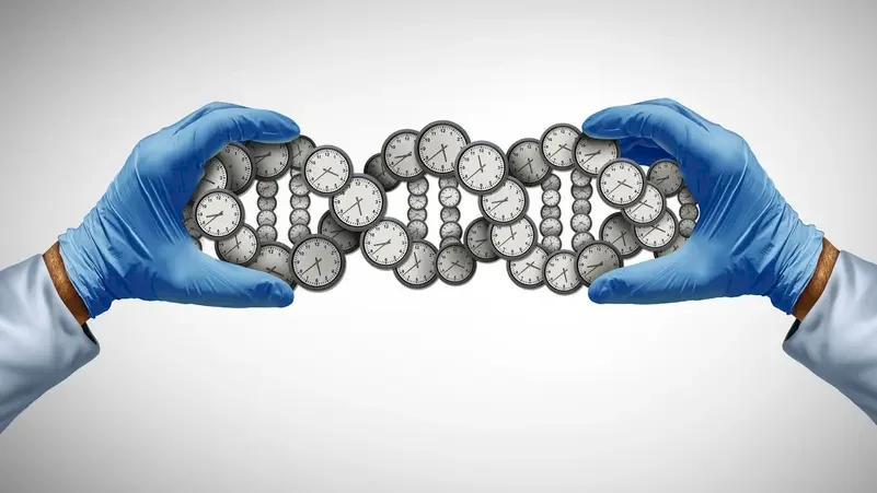علماء: بعض الخلايا "الزومبية" ربما تساهم في إطالة العمر