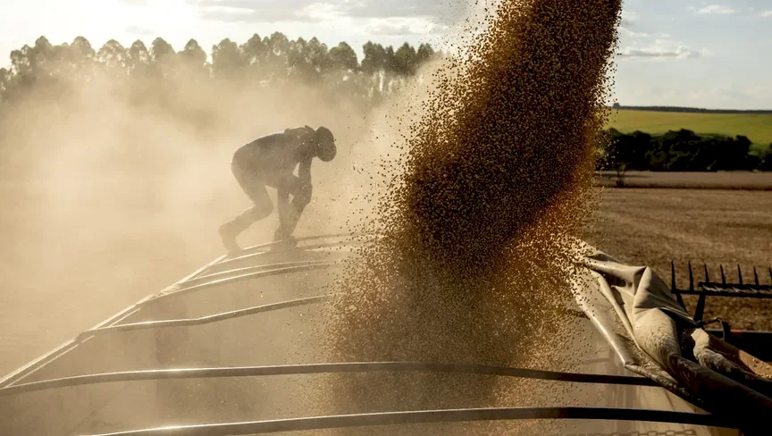 Crop Prices Decline with Anticipation of the Reopening of the Strait of Hormuz